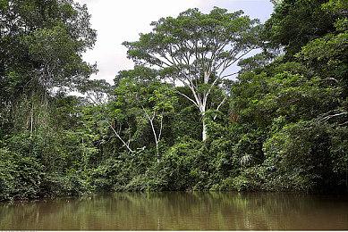 PS Plus会员游戏库6月新增 《杀戮空间2》《酿造物语》等